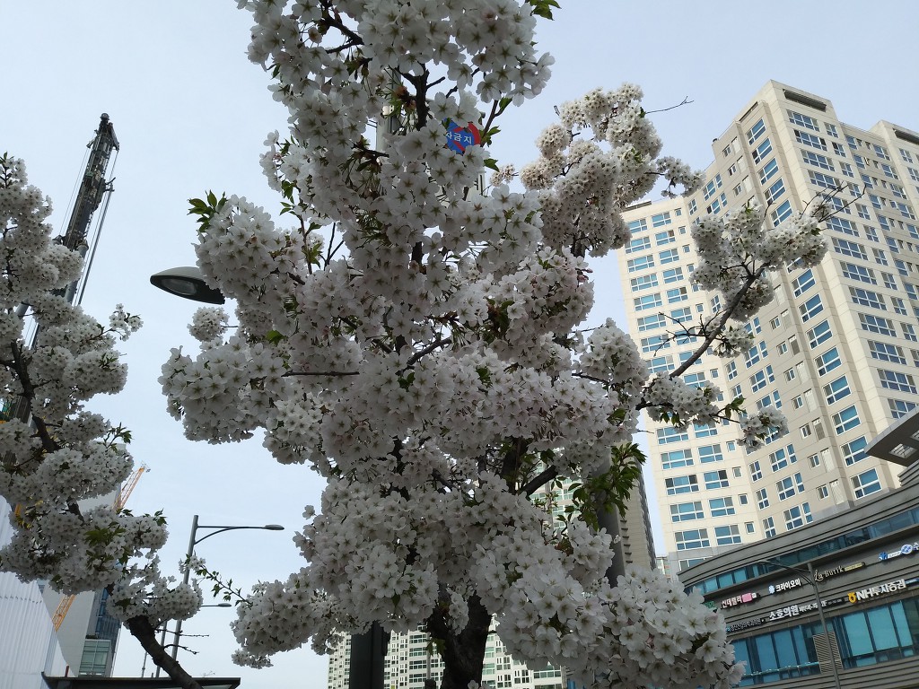 19.4.7(일)