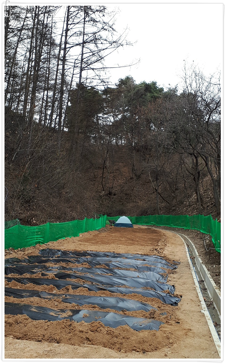 초봄[주포리]농장/풍경!!