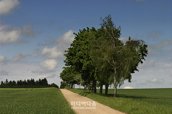 2019년 2월13일
