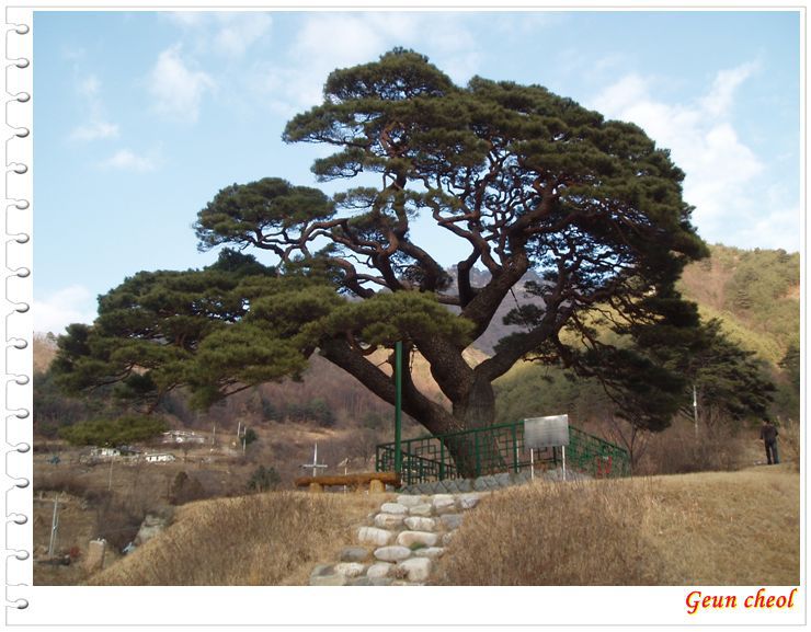 민족얼의 본향 태백산(피재-함백산-태백산-도래기재) 