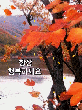 가을 이미지