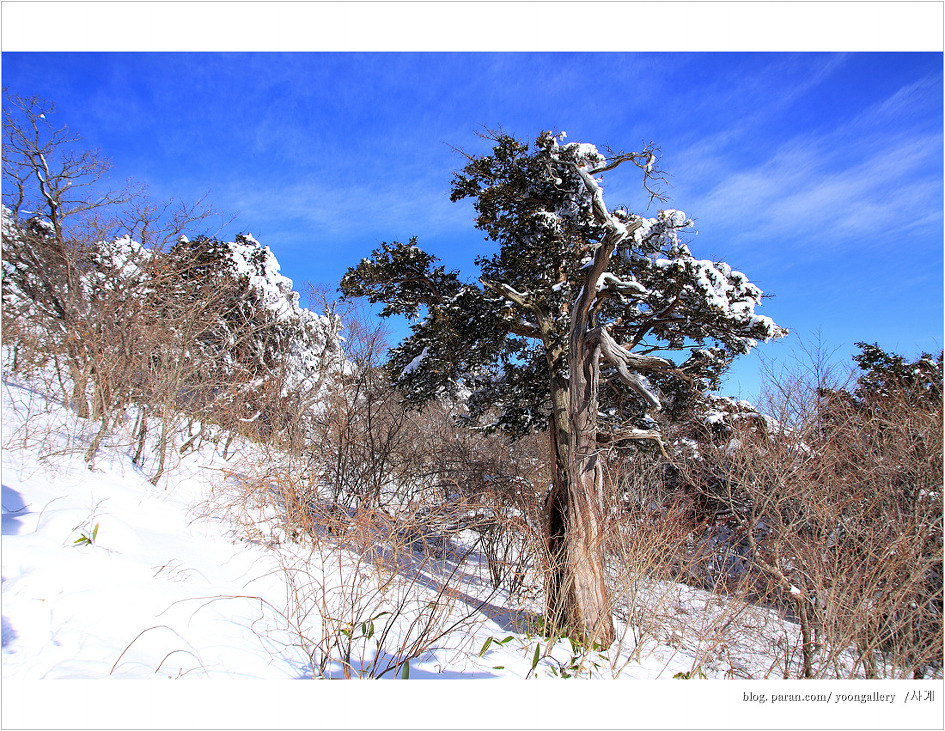 설산 덕유