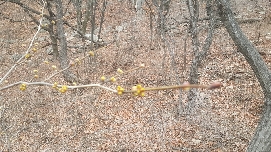 북한산 산행/2019.03.10