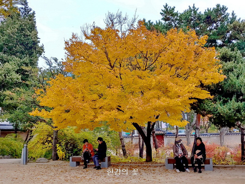 덕수궁의 가을색