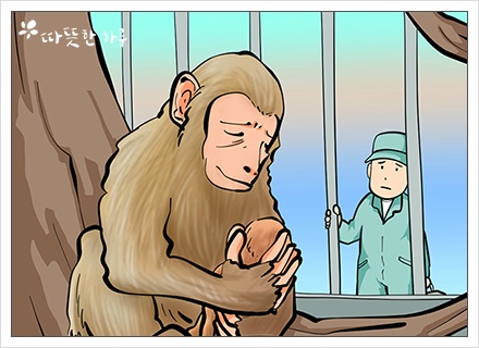 모성애 이미지