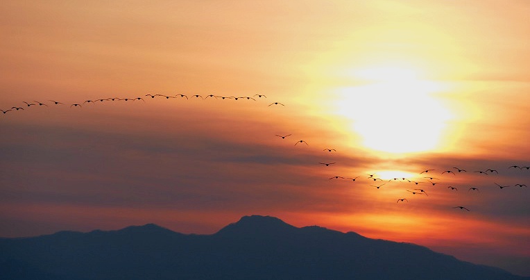 99DFF6345DF4F48E251E7C