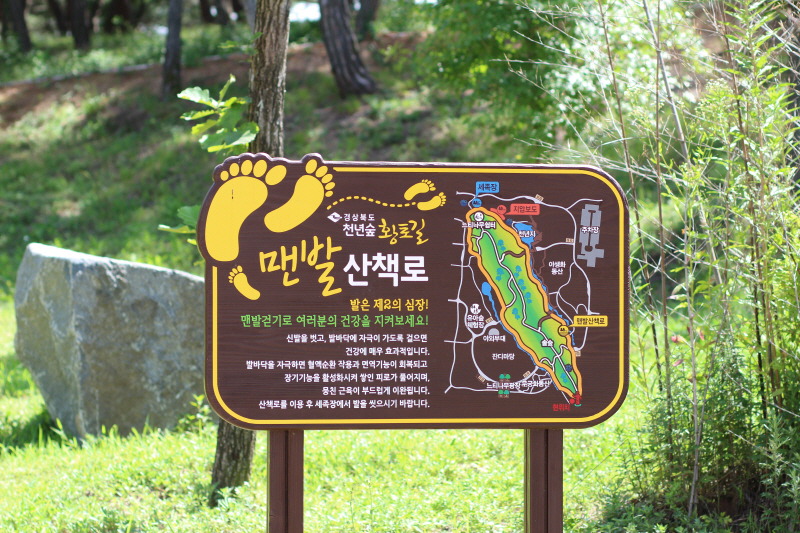 천년숲 유아숲체험원 이미지