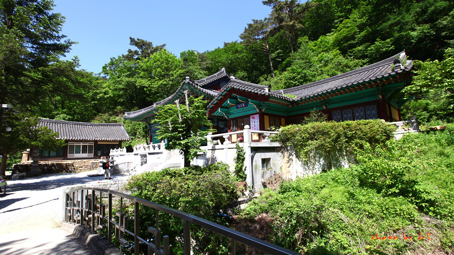 소백산 철쭉 길을 걷다..2018.5.26