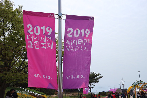 원본이미지(클릭)