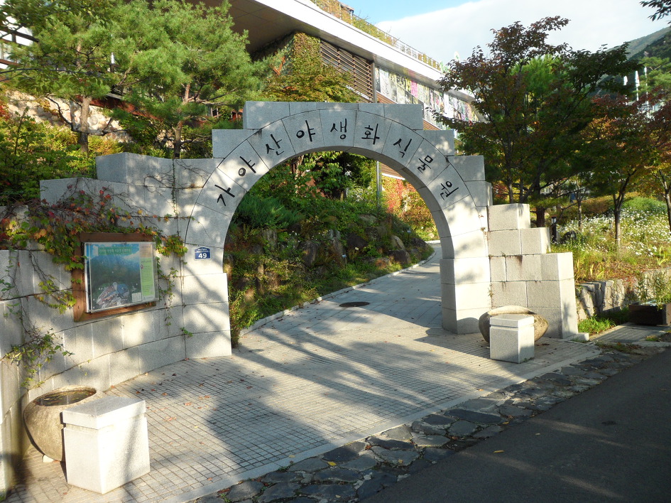 가야산1 2013-10-03