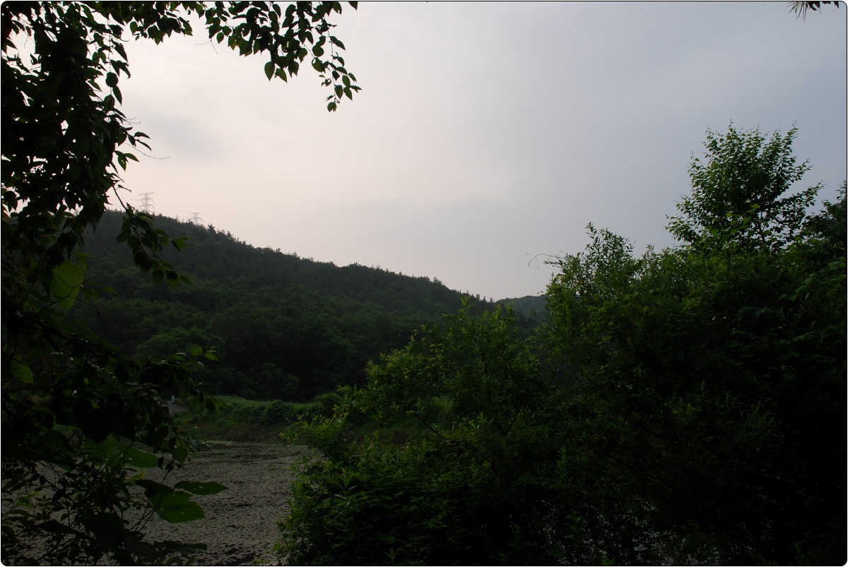 271D914F5396E3092CBF96